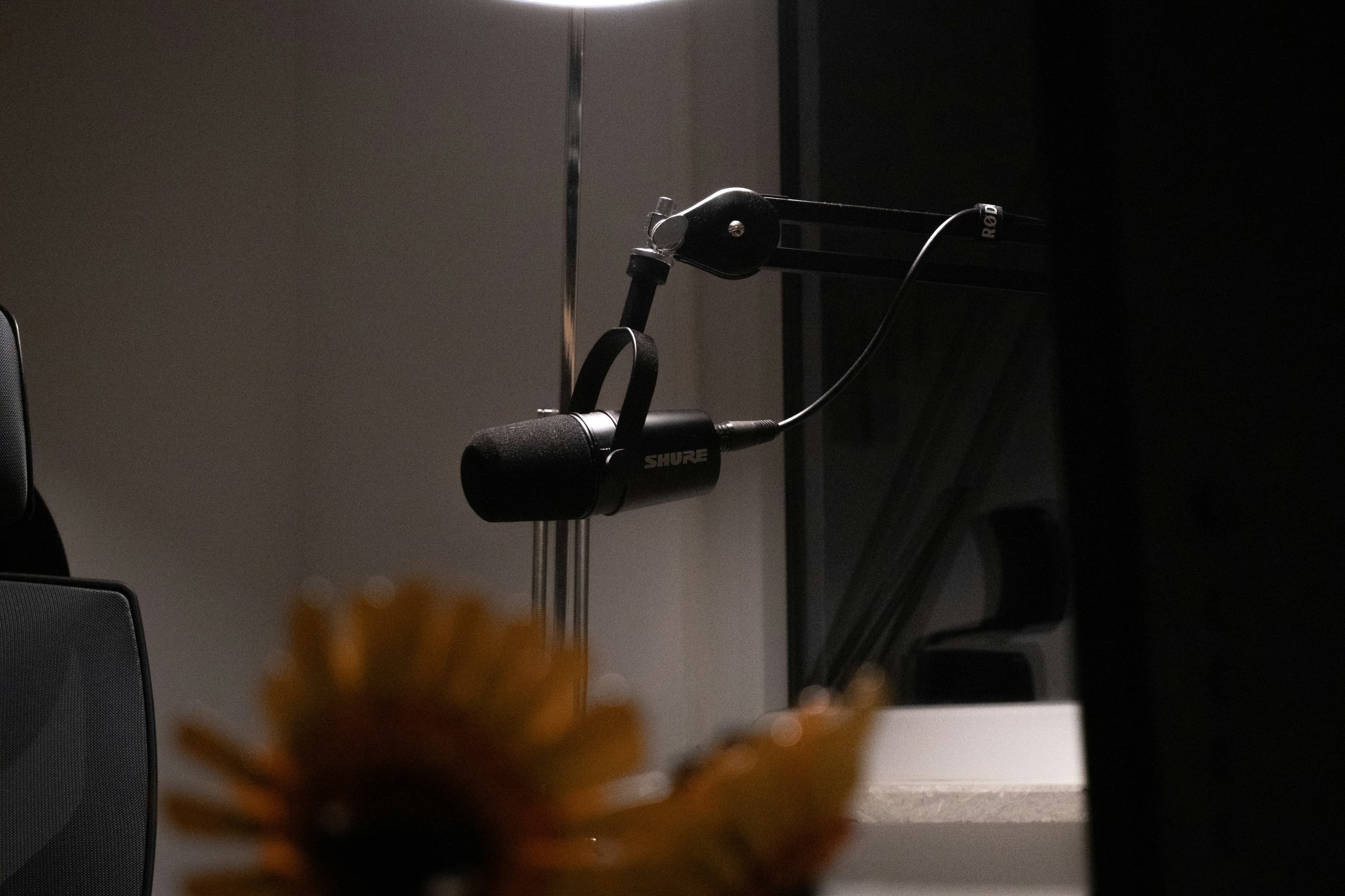 A Shure dynamic microphone on a Rode boom arm, lit by a lamp, with a sunflower blurred in the foreground